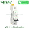 mcb 1p 1a 10ka schneider a9f84101