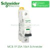 MCB 1P 25A 10kA Schneider A9F84125