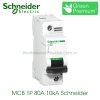 MCB 1P 80A 10kA Schneider A9N18357