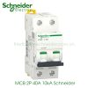 MCB 2P 40A 10kA Schneider A9F84240