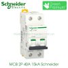 MCB 2P 40A 15kA Schneider A9F94240 - MCB Acti9 iC60L MCB 2P 40A 15kA Schneider A9F94240