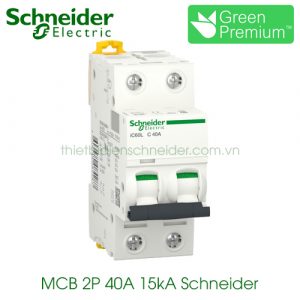 MCB 2P 40A 15kA Schneider A9F94240