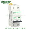 MCB 2P 50A 10kA Schneider A9F84250