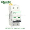 MCB 2P 6A 10kA Schneider A9F84206
