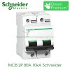 MCB 2P 80A 10kA Schneider A9N18361