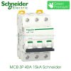 MCB 3P 40A 15kA Schneider A9F94340