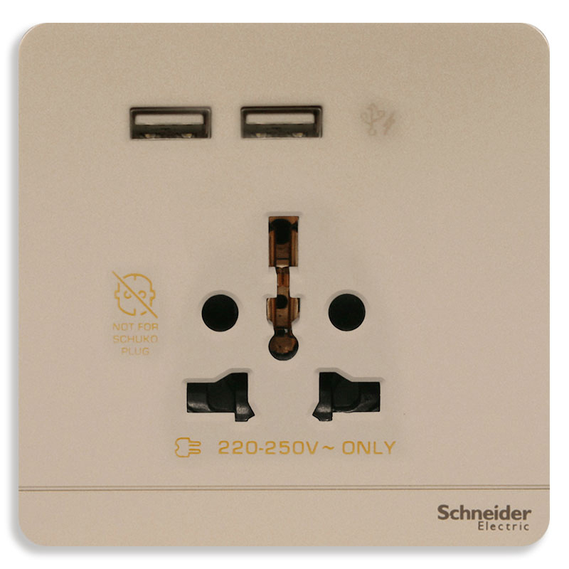 Ổ cắm đa năng kèm sạc USB E8342616USB_WG_G19, màu vàng Ổ cắm kèm sạc USB Schneider