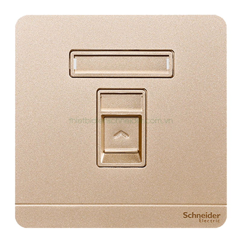 Ổ cắm mạng cat5e đơn Schneider