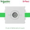Ổ cắm tivi F50TVM_WE_G19 Schneider S-Flexi