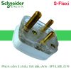 Phích cắm điện 3 chân EP15_WE_G19 Schneider S-Flexi