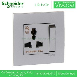 Ổ cắm đơn đa năng 13A có công tắc KB113LS_AS_G19 Schneider Vivace