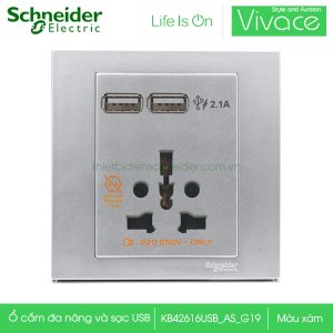 Ổ cắm đa năng kèm sạc USB Schneider KB42616USB_AS_G19 Vivace