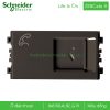Ổ cắm điện thoại 8431SRJ4_BZ_G19 Zencelo A Schneider, size S Ổ cắm điện thoại size S 8431SRJ4_BZ_G19 Zencelo A Schneider