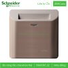 Bộ công tắc chìa khóa thẻ E8431EKT_SZ Zencelo Schneider Công tắc thẻ từ khách sạn E8431EKT_SZ Zencelo Schneider, màu đồng