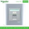 Ổ cắm điện thoại đơn E8431RJS4_SA_G19 Zencelo Schneider màu xám
