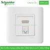 Bộ ổ cắm mạng cat5e đơn E8431RJS_5_G19 Zencelo Schneider Ổ cắm mạng cat5e đơn E8431RJS_5_G19 Zencelo Schneider màu trắng