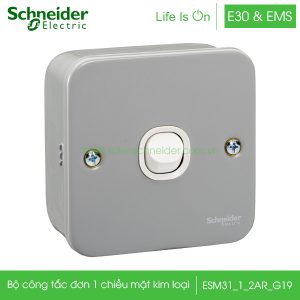 Bộ công tắc đơn 1 chiều 10A mặt kim loại ESM31_1_2AR_G19 E30&EMS Schneider