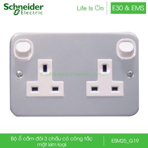 Bộ ổ cắm đôi 3 chấu có công tắc mặt kim loại ESM25_G19 Schneider