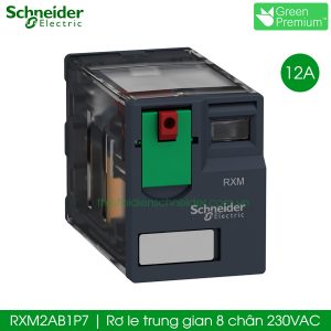 RXM2AB1P7 Schneider rơ le trung gian 8 chân 230VAC 12A
