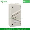 WHD63_GY_G19 Isolator Schneider 2P 63A
