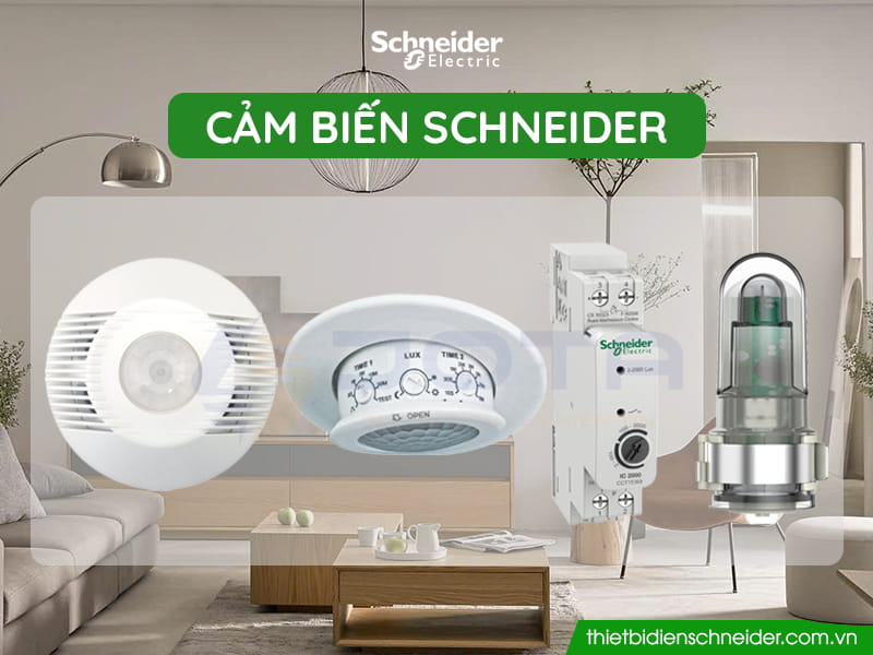 Cảm biến Schneider