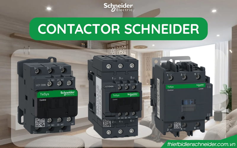 Thiết Bị Điện Schneider Tại Hải Phòng – Giải Pháp An Toàn Cho Mọi Công Trình Contactor Schneider tại Hải Phòng