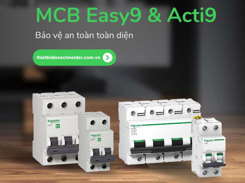MCB Schneider