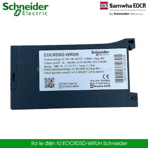 Rơ le điện tử EOCRDSD-WRUH Schneider